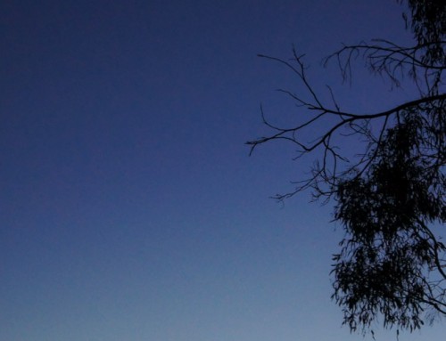 beautiful nighthike in the Grampians