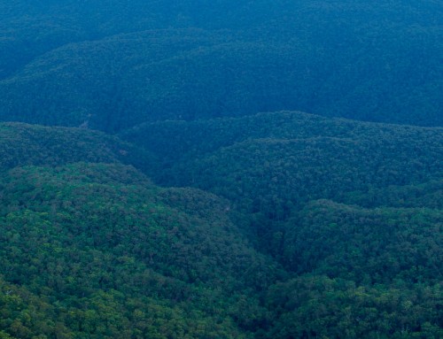 Guess what? Blue Mountains!